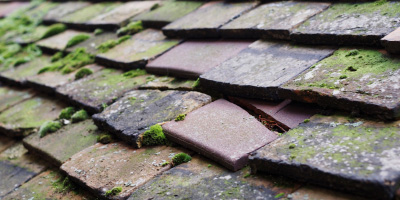 Frieth roof repair costs
